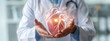 A doctor holding a human heart model