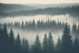 Fototapeta  - Forest of Norway, aerial photography. Norwegian forest in the fog. Beautiful natural background.