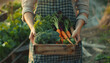 Organic Gardening Harvest - Woman Holding Fresh Vegetables