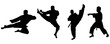 Set of Sport Men, Karate, Martial Arts, Athletic, Collection, Silhouette, Kata, Power, Training, Combat, Isolated, Vector Illustration