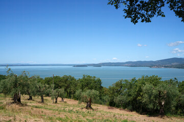 Wall Mural - The Trasimeno lake at summer near Torricella and Monte del Lago