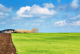 Fototapeta Sawanna - Fresh green field and blue sky