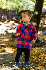 Sticker - Little boy is standing on wooden bridge in the park.