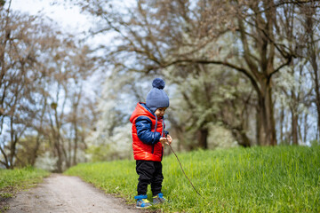 Sticker - Small boy walks in the park in spring.