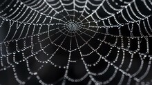 A Delicate And Intricate Spider Web Is Covered In Morning Dew. The Web Is Perfectly Symmetrical, With A Single Strand Of Silk Running Down The Center.