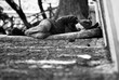 © South Pixels - Black and white man sleping in the street