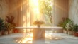   A photo shows a plant in a pot atop a table near a window with sunlight streaming through the curtains