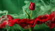 Tulipan czerwony kwiat abstrakcja. 
