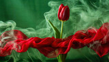 Fototapeta Tulipany - Tulipan czerwony kwiat abstrakcja. 