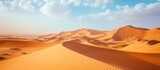 Fototapeta  - view of the Sahara desert during the day