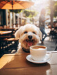 Cute smiling dog drinking its morning coffee outdoor at cafe reception area on blurred street backgrounds with copy space, concept of morning coffee, funny animal portrait, well being lifestyle. 