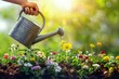 A sun-kissed gardeners hand holding a vintage watering can waters young seedlings among a vibrant array of spring blooms creating a picturesque mockup