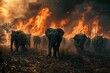 Herd of elephants escaping a forest fire. Concept of jungle fire danger.