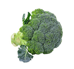 Wall Mural - Fresh broccoli transparent png