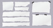 Set of torn white, lined note paper pieces are on light grey background for text or ad.