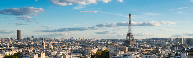 Canvas Print - eiffel tour and Paris cityscape