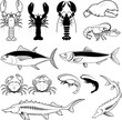 Set of the tuna, herring, Sturgeon,  crabs, shrimps, lobsters. Retro vector design graphic element, emblem, logo, insignia, sign, identity, logotype, poster.