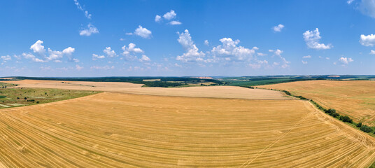 Wall Mural - Aerial landscape view of yellow cultivated agricultural field with dry straw of cut down wheat after harvesting