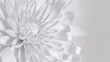 © Olya Fedorova - White background, a large white flower with petals made of a paper texture, 3D rendering, a closeup of the center part showing petal and leaf details, a geometric style, light blue and gray, macro pho