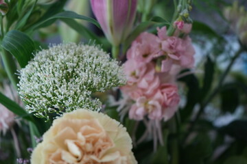 Wall Mural - pink and yellow flowers in a bouquet, close up of bouquet flowers