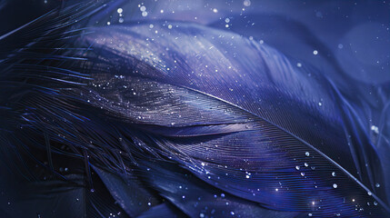 Wall Mural - blue sparkling feather close-up on a dark background
