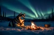 A serene scene of an Alaskan Malamute resting by a campfire under the northern lights