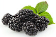  bunch of blackberries complete with leaves isolated on a white background