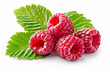 Raspberry isolated Raspberries with leaf isolate