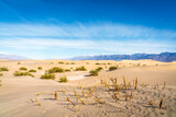 Fototapeta Góry - Mesquite Flat Sand Dunes