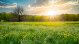 Fototapeta Do akwarium - Vivid sunshine on spring meadow landscape, nature background