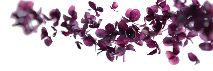 Wall Mural - Purple Petals Twisting in Air