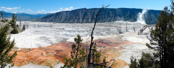 Wall Mural - Mammoth Hot Spring, Yellowstone, Wyoming, United States of America