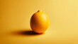 bright yellow lemon centered against a monochromatic background