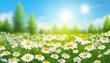 © Alamin - Beautiful blurred spring background nature with blooming glade chamomile, trees and blue sky on a sunny day.