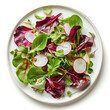 Simple vegetarian salad with green and purple mesclun mix and thin slices of radish, on a round ceramic plate. Light summer meal. Diet, healthy eating. White background. Top view.