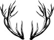 Deer Antlers Vector 