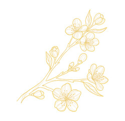 Wall Mural - Gold outline illustration with spring flower