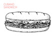Cuban sandwich sketch. Hand drawn vector illustration. not AI