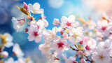 Fototapeta Fototapeta w kwiaty na ścianę - Beautiful spring white flowers close up against the sky. Piękne wiosenne białe kwiaty z bliska na tle nieba