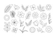 © Alina - Flowers, leaves and twigs coloring page. Floral elements outline set. Coloring book for print