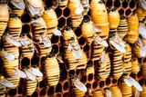 Fototapeta  - bee hive - bee breeding