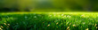  landscape with lawn with cut fresh grass in early morning, 