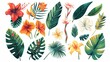 Exotic tropical illustrations for design projects. Includes flowers, palm leaves, and other jungle foliage. Perfect for creating Hawaiian-themed designs for cards, weddings, or wallpapers.