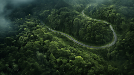 Wall Mural - aerial view of road in mountain