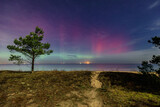 Fototapeta Dziecięca - Northern lights over the Baltic Sea beach in Gdansk Sobieszewo with single pine tree, Poland.