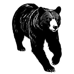 Wall Mural - Bear wild animal silhouettes on the white background. Grizzly bear, polar bear, California bear silhouette, vector icon for animal wildlife apps and websites