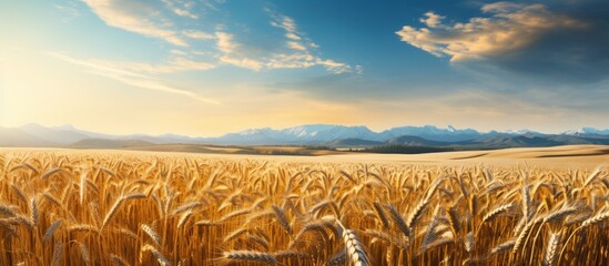 Poster - A picturesque natural landscape with a field of wheat, mountains in the background, the sun shining through the clouds, and a vast grassland stretching towards the horizon