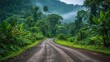Tropical Jungle's Rural Road Amidst Lush Grounds