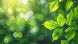Green leaves background in sunny day with bokeh and sun light. AI.