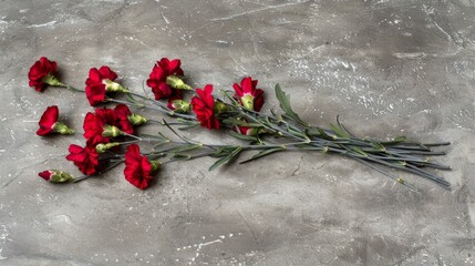 Poster -  a bunch of red flowers sitting on top of a cement floor next to a bunch of green and red flowers.